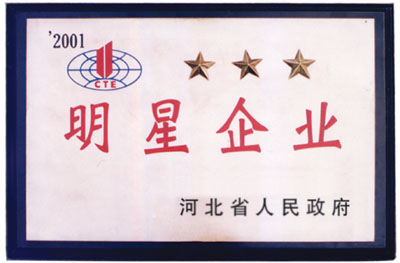 明星企業(yè)