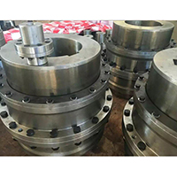 GIICLZ鼓形齒式聯軸器 GIICLZ鼓形齒式聯軸器